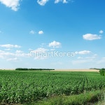 클립아트코리아 - 통로이미지