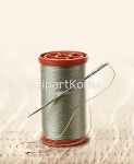 yaytg113461 / JPG - 멤버십 해외작가포토