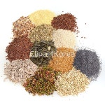 yaytg334636 | 멤버십 해외 포토