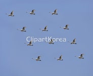 클립아트코리아 - 통로이미지