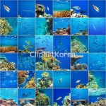 twi001t1206255 | 멤버십 해외 포토