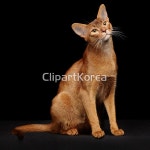 twi001t1568398 / JPG - 멤버십 해외작가포토