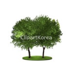 tic288a0151 / PSD - 멤버십 합성·편집