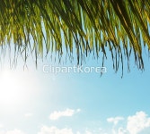 (주) __적합한콘텐츠,고요,관광객,나무,레저,리조트,모래,물,물결,바다... 파라다이스,파라솔,편안함,풍경[경치],해변,해안,해외포토,휴가,휴게실,휴식