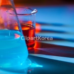 yaytg437960 / JPG - 멤버십 해외작가포토