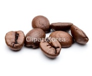 cb117008238 / JPG - 멤버십 해외작가포토