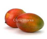 해외작가포토 - 클립아트코리아 :: 통로이미지(주) __적합한콘텐츠,건강,깨끗함,껍질,날것,누끼,다이어트,달콤함,망고,비타민,빨간색,신맛,신선... 