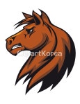 cb120003846 | 멤버십 해외 일러스트