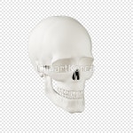 tid020000679 / PNG - 멤버십 PNG