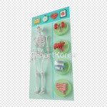 tid020000743 | 멤버십 PNG