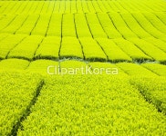 클립아트코리아 - 통로이미지