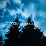 cb089008356 / JPG - 멤버십 해외작가포토