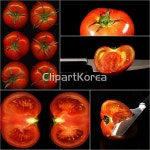 클립아트코리아 - 통로이미지