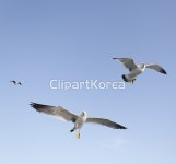 cm28000124 | 멤버십 국내 포토