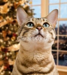 cm08121719 | 멤버십 해외 포토