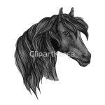 cb120014827 | 멤버십 해외 일러스트