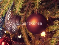 cb027002058 | 멤버십 해외 포토