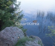 cb027002232 | 멤버십 해외 포토