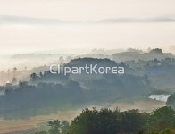 국내작가포토 - 클립아트코리아 :: 통로이미지(주) __적합한콘텐츠,구름,국내,농촌,들판,사람없음,실외,아침,운해,전남,풍경[경치],한국,함평군