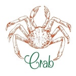 [신체],대서양,동물,디자인,메뉴,바다,백그라운드,벡터,비슷함,빨간색,수중,스케치,식당,식사,신선,신체,실루엣,심벌,아이콘,얇음,오리엔탈,요리... 