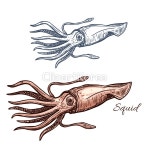 cb120018645 | 멤버십 해외 일러스트