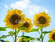 클립아트코리아 - 통로이미지