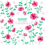 tid300t000025 | 멤버십 국내 일러스트