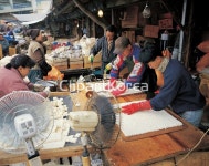 tip301t000990 / JPG - 멤버십 국내작가포토