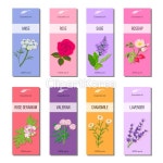(주) __적합한콘텐츠,가격표,건강,꽃,라벤더,라벨,리본,맛,세이지,순수,식물,심벌,아니스,아로마테라피,안마[마사지],약국,약초,엠블럼,요리,유기농... 
