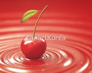 해외작가포토 - 클립아트코리아 :: 통로이미지(주) __적합한콘텐츠,건강,날것,달콤함,디저트,베리,빨간색,색,숙성,식당,식사,신맛,신선,앵두,열매... 