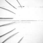 yaytg839032 / JPG - 멤버십 해외작가포토