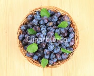 yaytg856008 | 멤버십 해외 포토