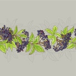 일러스트 - 클립아트코리아 :: 통로이미지(주) __적합한콘텐츠,개화,건강,검정색,꽃,나뭇가지,나뭇잎,노년,덤불,무늬,백그라운드,베리,신선,약국... 