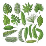 cb157001421 / JPG - 멤버십 일러스트