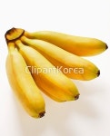 해외작가포토 - 클립아트코리아 :: 통로이미지(주) 4,__적합한콘텐츠,과일,노란색,누끼,다수,바나나,사람없음,신선,열대과일,음식,해외포토... 