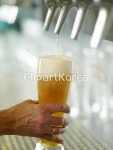pc003021478 / JPG - 멤버십 해외작가포토
