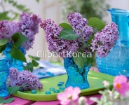 pc003134899 / JPG - 멤버십 해외작가포토