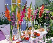 해외작가포토 - 클립아트코리아 :: 통로이미지(주) __적합한콘텐츠,계절,글라디올러스,꽃,샐러드,센터피스,식물,안뜰,장식,컬러풀,테라스,파티... 