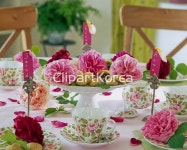 해외작가포토 - 클립아트코리아 :: 통로이미지(주) __적합한콘텐츠,계절,꽃,분홍색,센터피스,식물,실내,역사,음식,장미,장식,해외포토... 