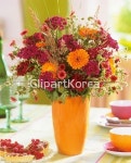 pc003232838 / JPG - 멤버십 해외작가포토