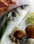 pc003307517 / JPG - 멤버십 해외작가포토