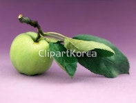 pc003311041 / JPG - 멤버십 해외작가포토