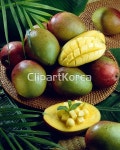 pc003363766 / JPG - 멤버십 해외작가포토