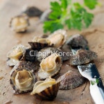 pc003364946 / JPG - 멤버십 해외작가포토