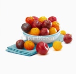 pc003396016 / JPG - 멤버십 해외작가포토