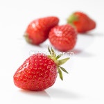 pc003424426 / JPG - 멤버십 해외작가포토