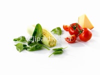 pc003426529 / JPG - 멤버십 해외작가포토