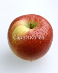pc003606644 / JPG - 멤버십 해외작가포토