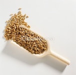 클립아트코리아 - 통로이미지