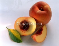 pc003623594 / JPG - 멤버십 해외작가포토